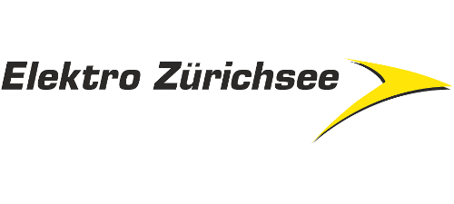 elektrozuerichsee_homepage.png